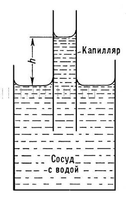 рис1.jpg