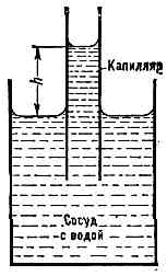 kapillyarnye_yavleniya1.jpg
